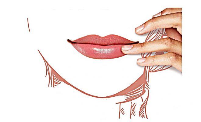 Beri Manfaat Baik untuk Menutrisi Bibir