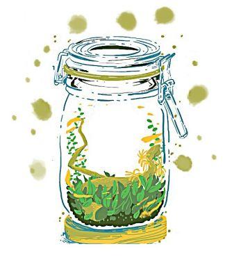 Menata Akuarium Mini dalam Jarrarium